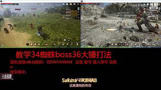 肝王之王王,砖友会