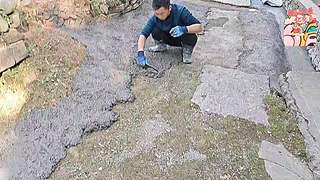 祝大家新年快乐，马上有钱 2213196