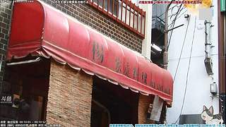 懒猫 美食家 点播