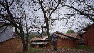 滇西小哥的美食视频