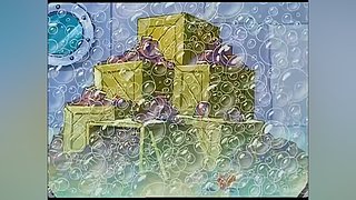 大星与海绵方块