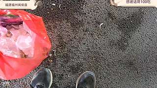 云南骑行山东沿着海岸线