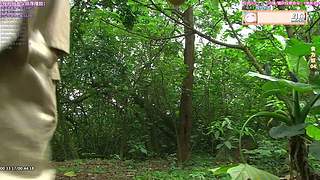 【超清3】人气港剧天地