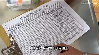 一人一狗机车摩旅西藏行