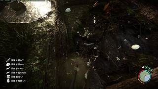 阳仔有点忙的直播间