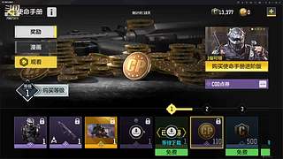 国服第一AKS大师小菜鸡