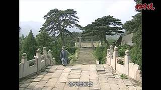 来看声音比电影好听的粽子