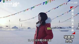 魏蜀吴群雄争霸，发弹幕加入国战