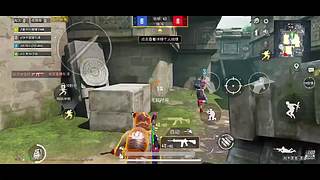 小白多多关照 9164531