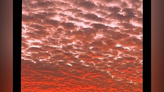 不羡鸳鸯不羡仙啊