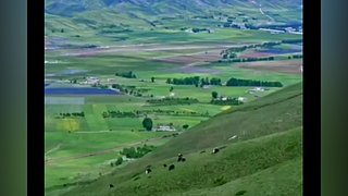 不羡鸳鸯不羡仙啊