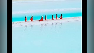 不羡鸳鸯不羡仙啊