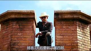 带你看没时间看的经典电影