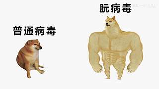 【蓝星人】颠覆你想象的神秘未解谜团