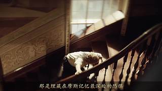 【大坑】悬疑推理视频解说