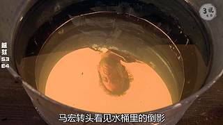 美剧解说精彩不断