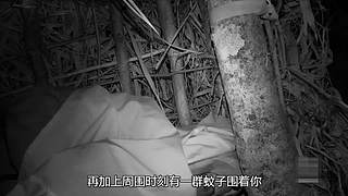 荒野求生纪录片小天地