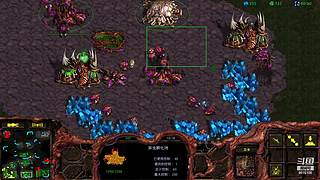 暴风虫族Ameba教你玩转星际争霸I