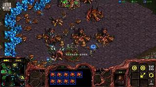 暴风虫族Ameba教你玩转星际争霸I