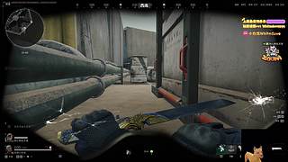 【小白鸽】劳模来啦 过年不打烊！