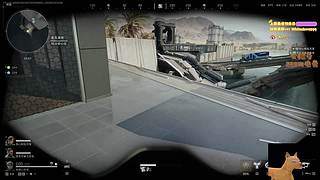 【小白鸽】劳模来啦 过年不打烊！