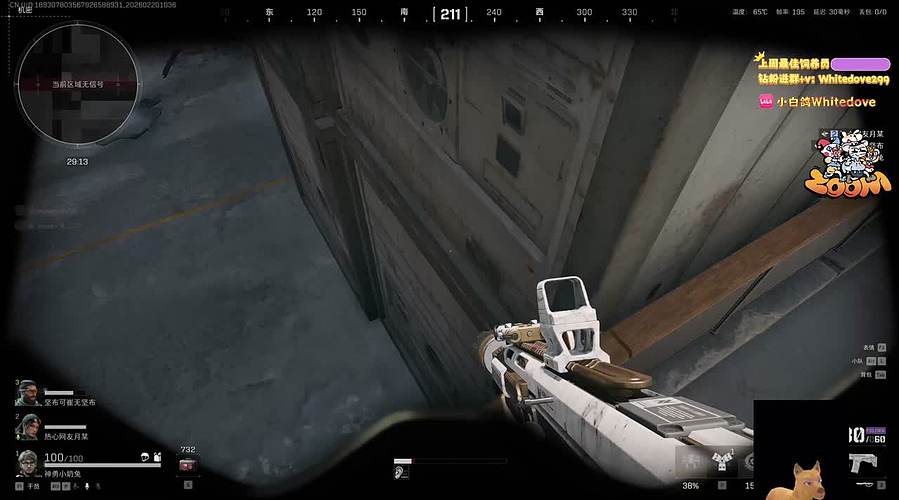 【小白鸽】劳模来啦 过年不打烊！