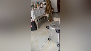 每晚18点直播 52319x