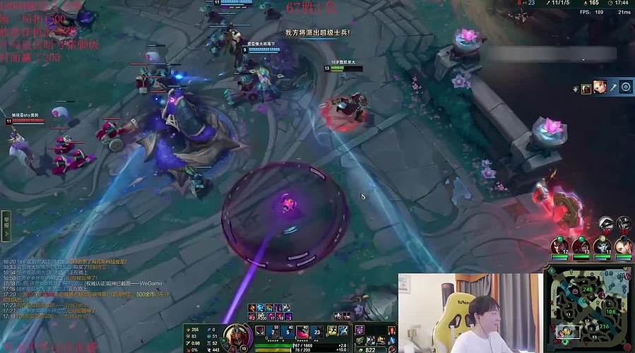 直播）百分百胜率ELO教学局看了包上分！