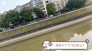 财神来到我家门 ㊗️大家财源滚滚