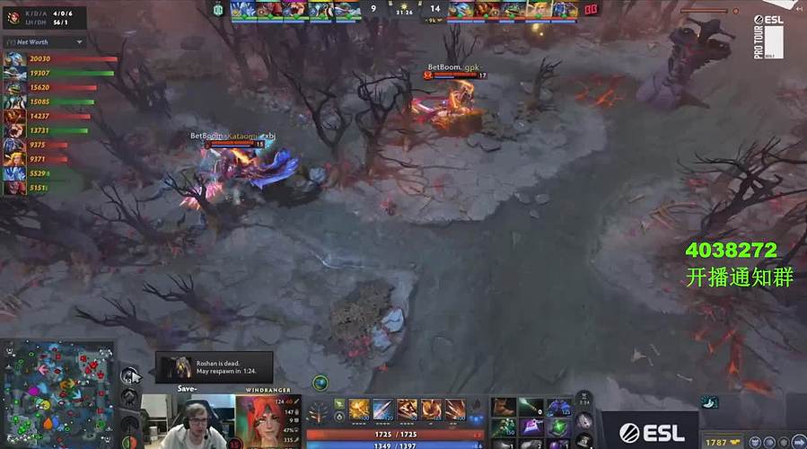 梦幻 OG-BB直播间