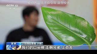 直播中。。。71415