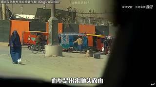 LOLM春风扶杨柳，敢问是段友