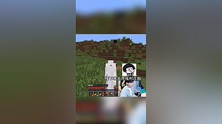 蛋白的视频轮播直播间