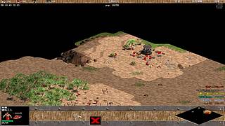 海鸟海运的直播间