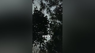 财神来财神来财神快到我家来～