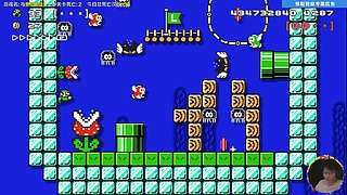 我可能玩了假的马里奥