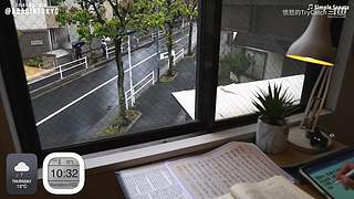 重生之奋发涂墙