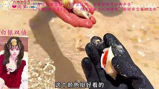 我回来了，这一次我要拿回属于我的一切