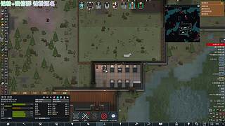 环的第四天（祝大家马上好运