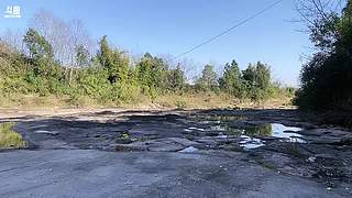 明天给巴中水友送猪肉