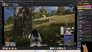 【小白鸽】睡了个午觉 睡到了九点！