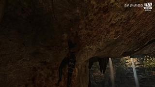 无兄弟不篮球 4840534