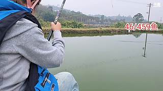 10点钓鱼哦哦哦哦~24/459鱼.