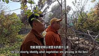 今晚你吃什么？不会没想好吧