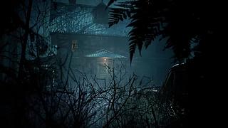 【Cat】生灵重塑 继续