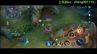 国服野射有车位  可帮打