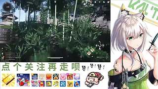 在下林凡，请指教！