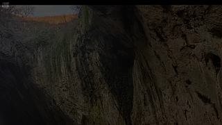 星梦49的直播间