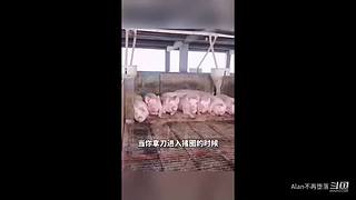 星球大战前线2玩玩看。