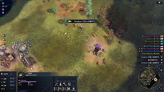 董导 帝国时代4 组排